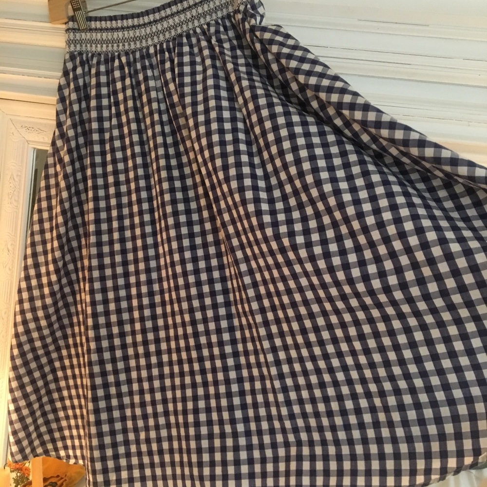 Zara Gingham Navy Midi Skirt